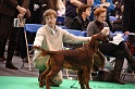 Crufts2011 135